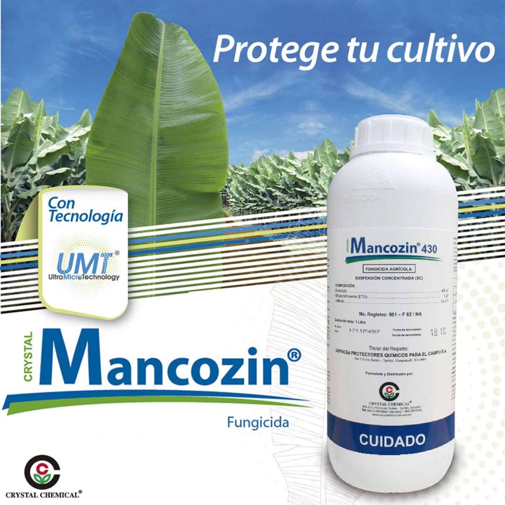 MANCOZIN Ecuador – Crystal-Chemical